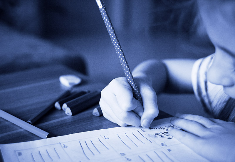 Ricorsi concorso scuola primaria ed infanzia 2018
